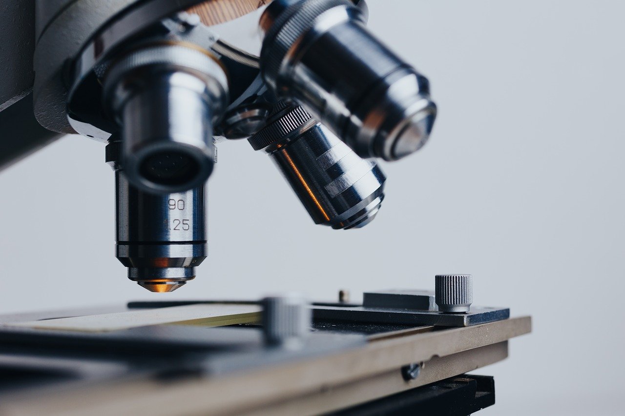 Biología Grado Sexto 